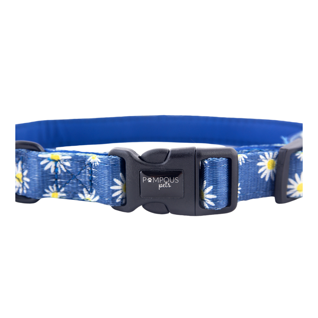Sapphire Daisies Dog Collar