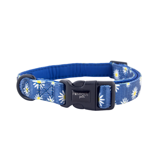 Sapphire Daisies Dog Collar