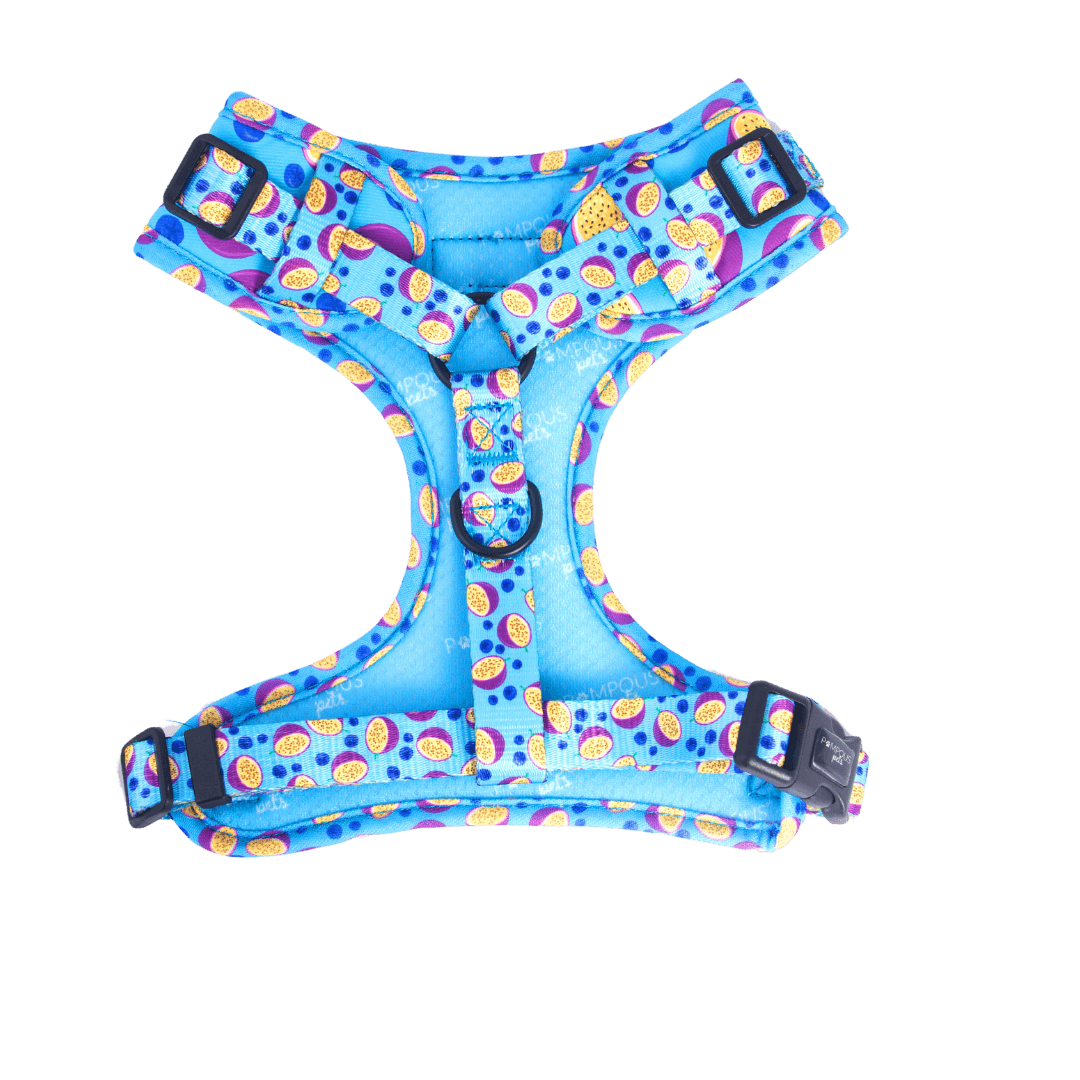 Berrydilla Adjustable Dog Harness