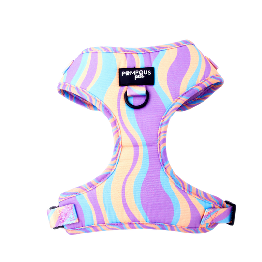 Lollipop Adjustable Dog Harness