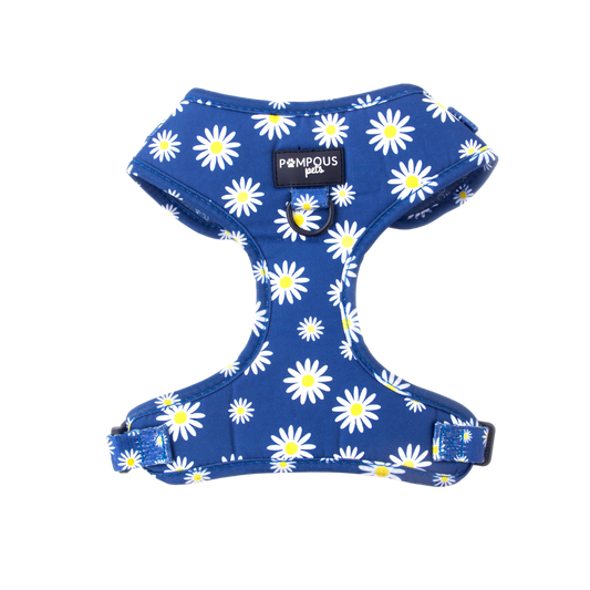 Sapphire Daisies Adjustable Dog Harness