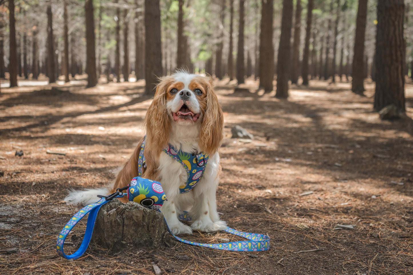 Pineapawlicious Dog Leash