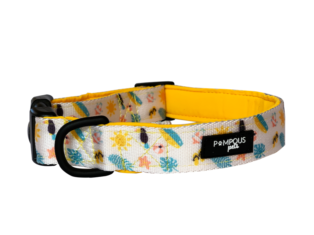 Beach dog collars hotsell