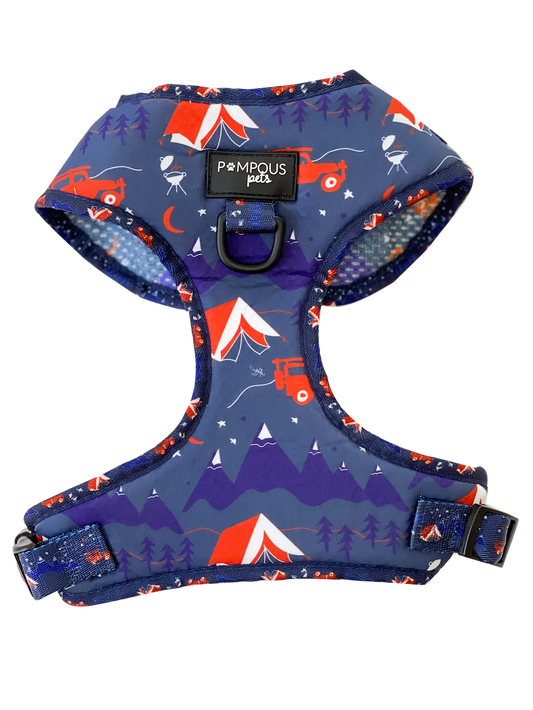 Adventure Is Out There Adjustable Dog Harness