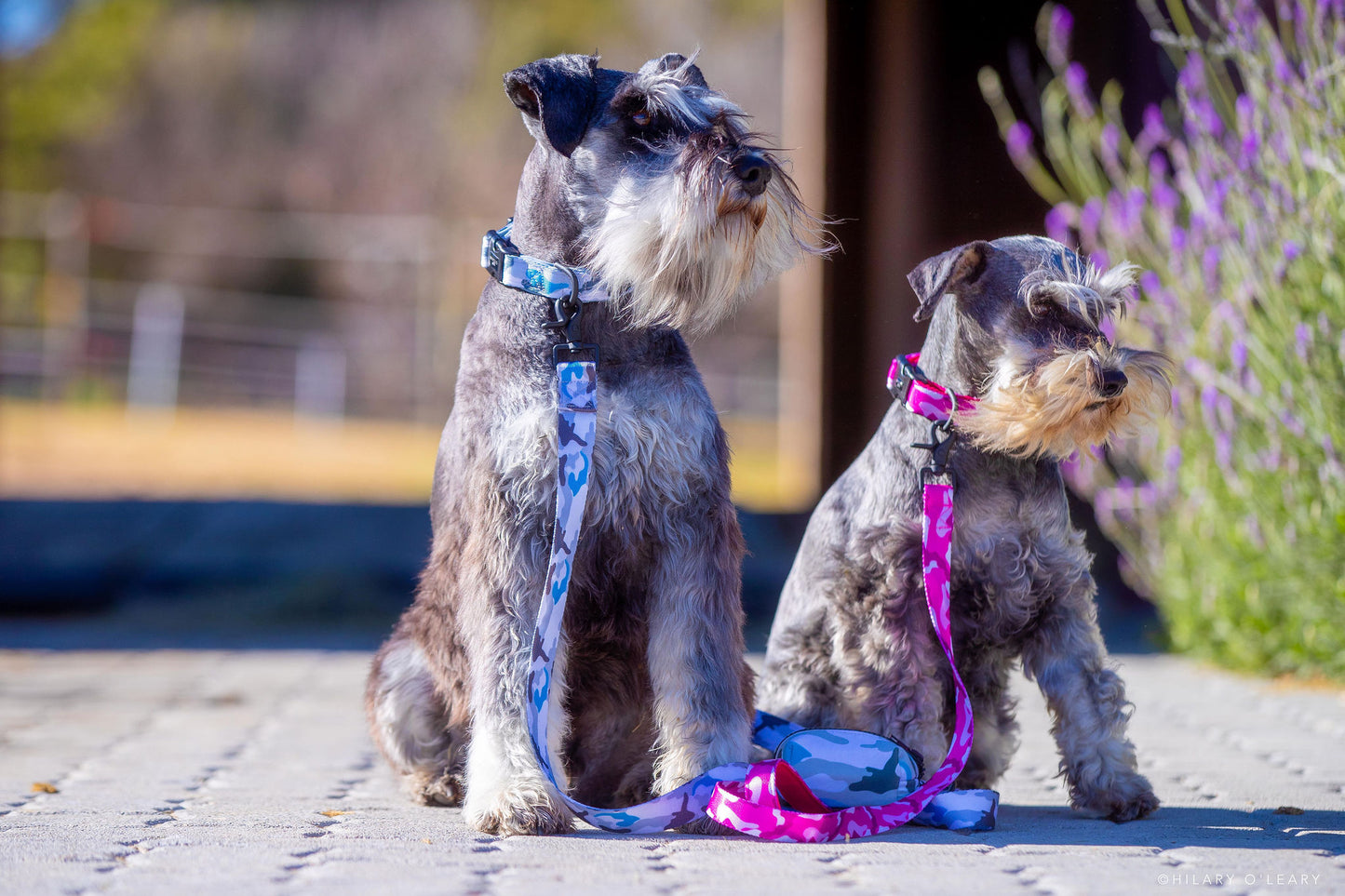 Blue Camo Leash