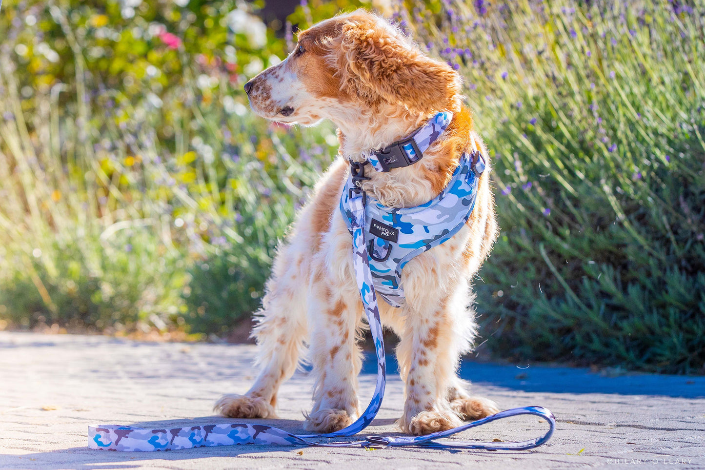 Blue Camo Leash