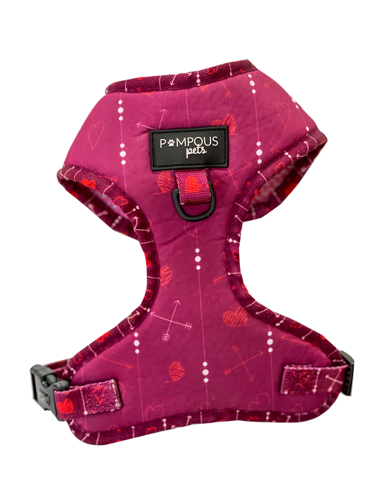 Cupids Crush Adjustable Dog Harness