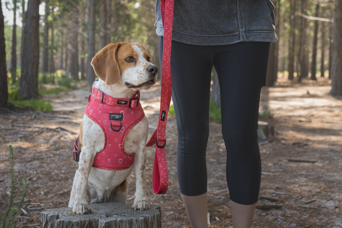 Fuurever Love Adjustable Dog Harness