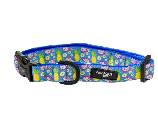 Pineapawlicious Dog Collars
