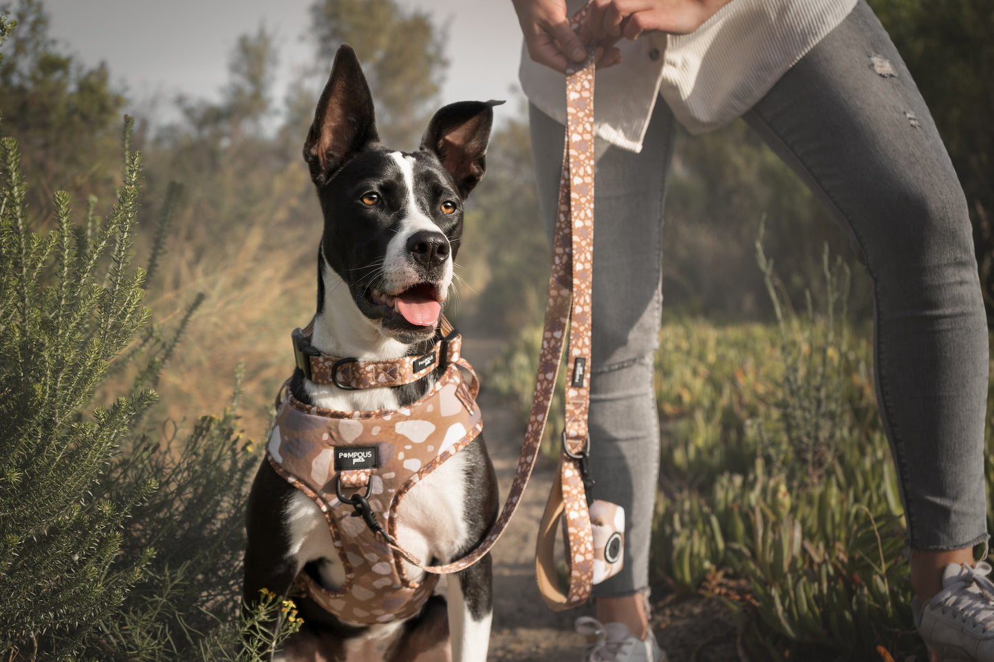 Terrazzo Time Adjustable Dog Harness