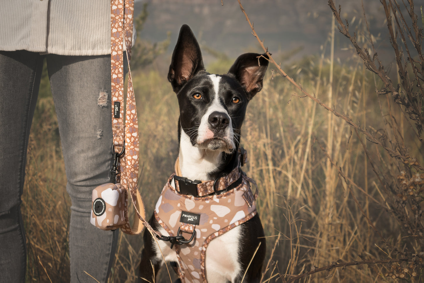 Terrazzo Time Adjustable Dog Harness