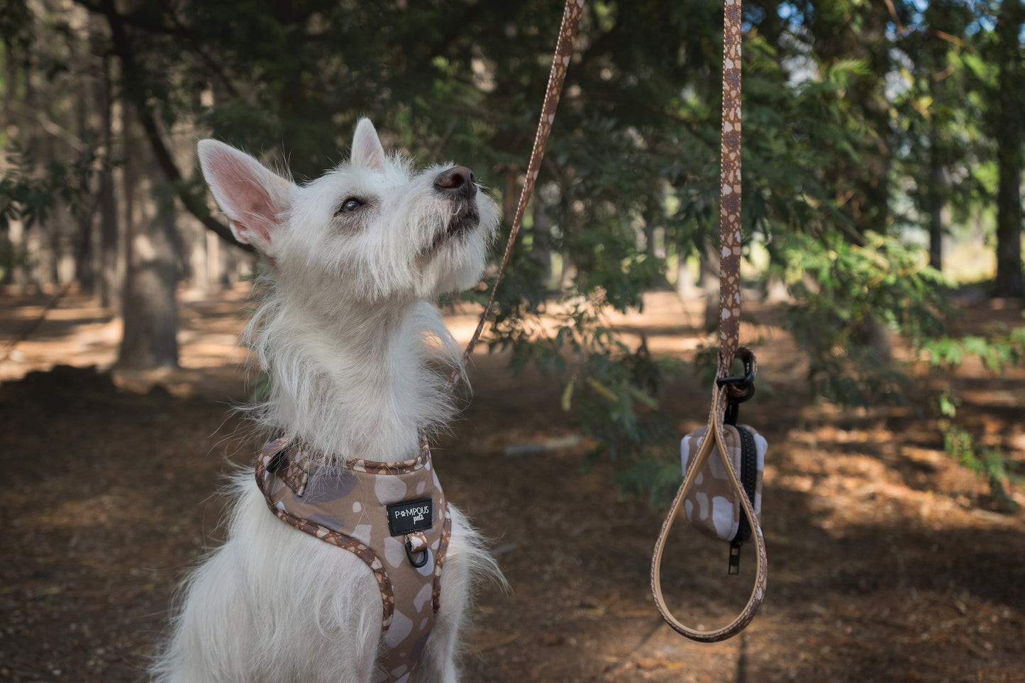 Terrazzo Time Adjustable Dog Harness